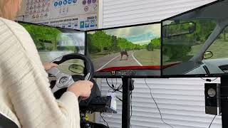 Driving Simulator. Hazard Perception Training. Rural Road. Симулятор вождения. Автошкола