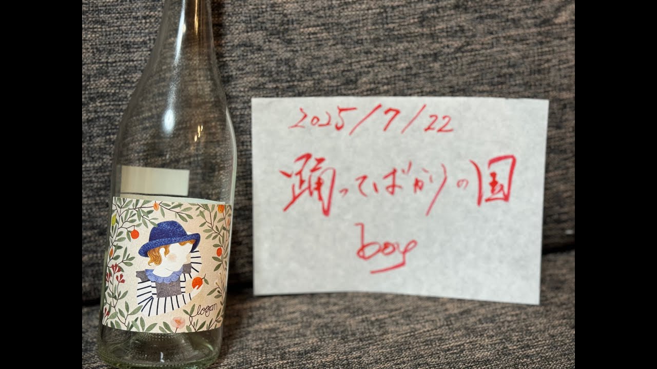 踊ってばかりの国 / boy guitar cover 「夏だ、とりあえず踊ろう」