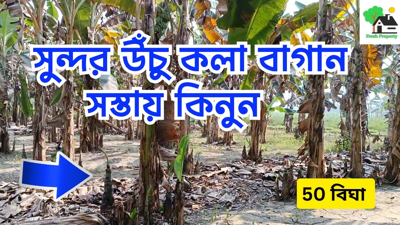 Fp - 1417 | উঁচু জমি সস্তায় বিক্রয় | 9073 145 145
