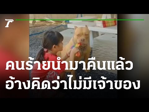 คนร้ายขโมยสุนัขพิทบูล นำมาคืนแล้ว | 12-04-65 | ข่าวเที่ยงไทยรัฐ