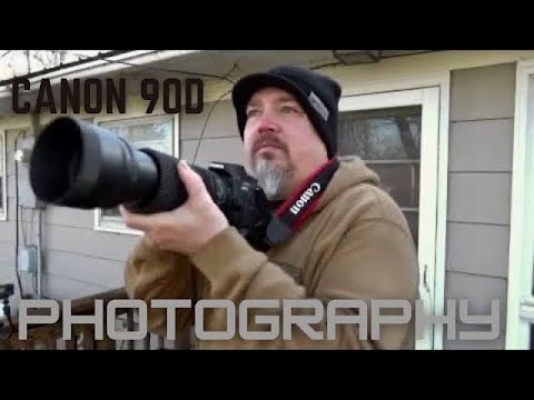 best-wildlife-photography-camera-canon-90d-youtube