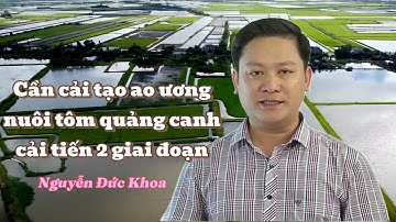 Mô hình nuôi tôm quảng canh cải tiến kết hợp 2 giai đoạn