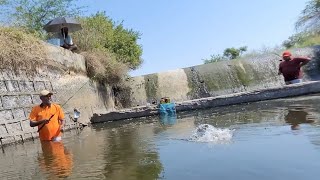 Best Single Hook fishing|Fisherman Catching The fishes to Small single hook|Traditional Baam fishing