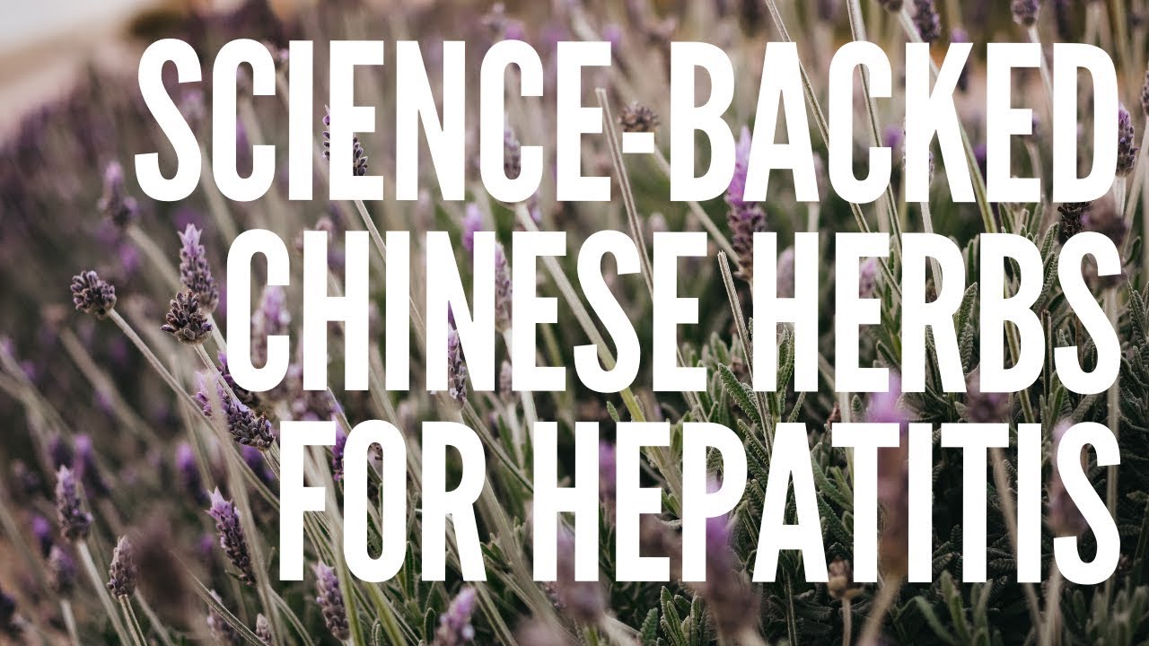 ScienceBacked Chinese Herbs for Hepatitis YouTube