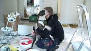 Detbehövsingenfärghärinneva