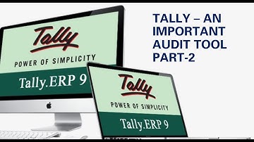 Tally - An important audit tool - Part 2 - CA Punit Mehta