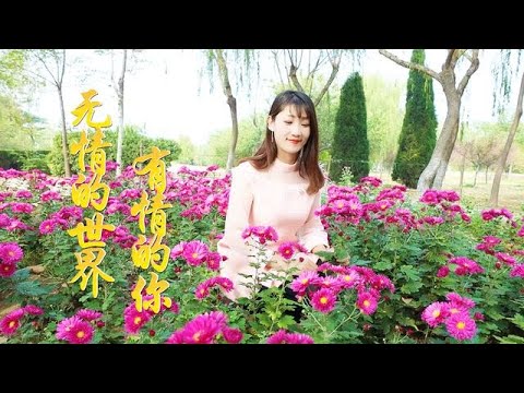 暖心情歌《无情的世界有情的你》DJ，句句动情，暖透你冰冷的心！