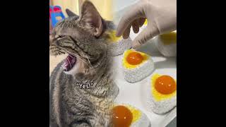 fypviral funny fyp cat