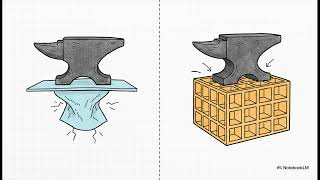 Episode EP04 B — The Double Bottom  The Egg Box Structure