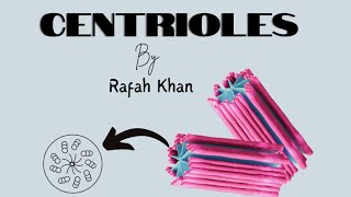 Centrioles Cl 9 Biology Chapter 3 Structure, Diagram, & Function