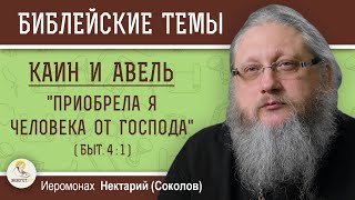 КАИН И АВЕЛЬ #1. "Приобрела я человека от Господа" (Быт. 4:1) Иеромонах Нектарий (Соколов)