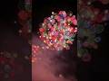 鈴鹿げんき花火大会。彩色千輪 三重県鈴鹿市。#shorts #花火大会
