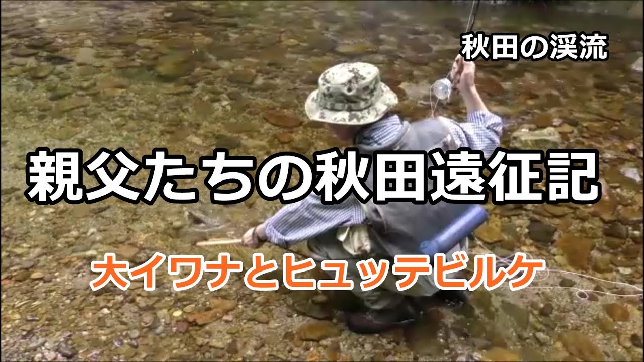 親父たちの秋田遠征記 / 尺イワナ31㎝とヒュッテ・ビルケ / 秋田の渓流 / みちのく釣りの旅  ﾌﾗｲﾌｨｯｼﾝｸﾞ渓流釣り(4K) fly fishing