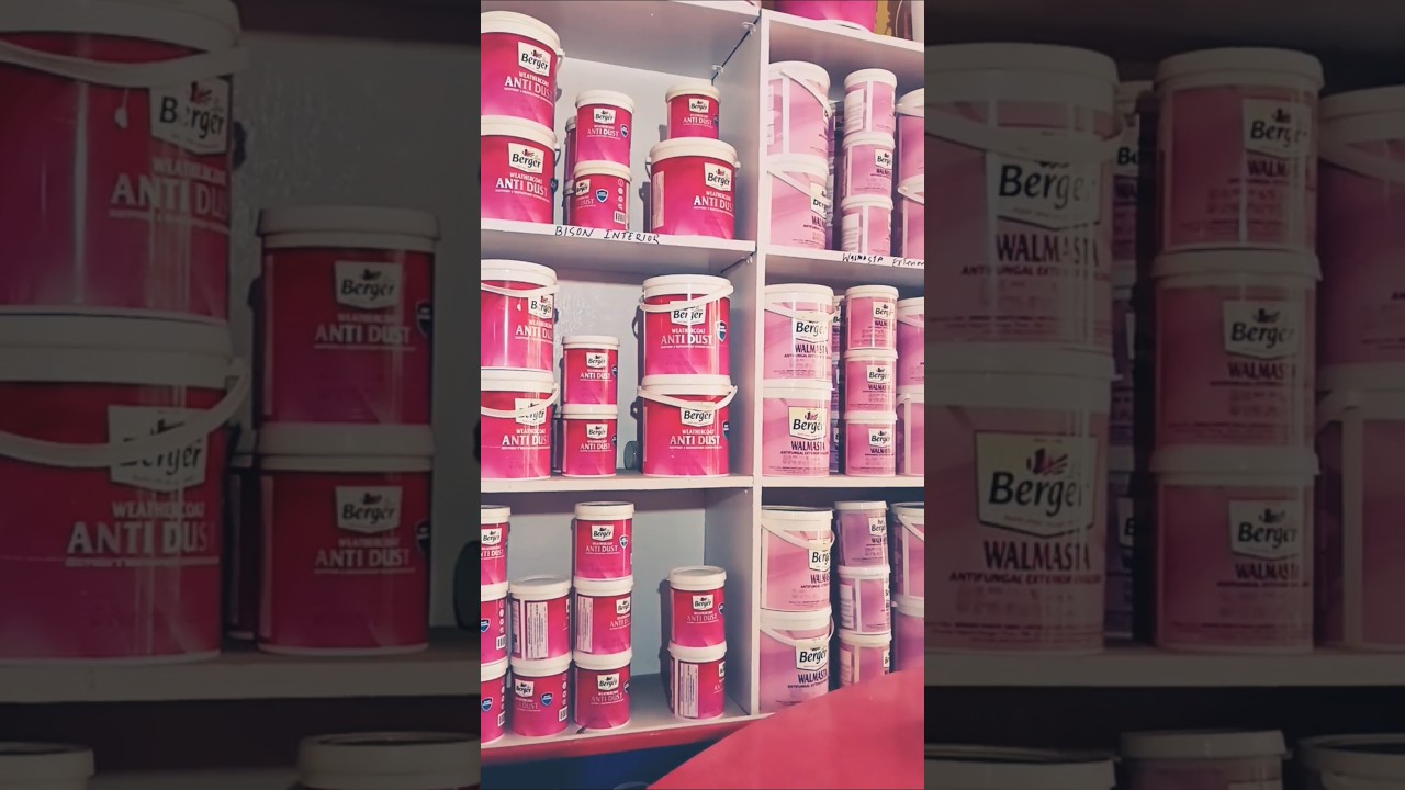 Say Goodbye to Dust: Berger's Premium Antidust Paint Review. 