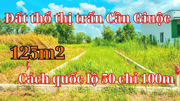 Đất thổ cư Cần Giuộc. Diện tích 125m2, khu vực dân cư đông đúc, cách quốc lộ 50 chỉ 100m, SHR