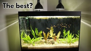 Best DIY Lights for Planted Tanks