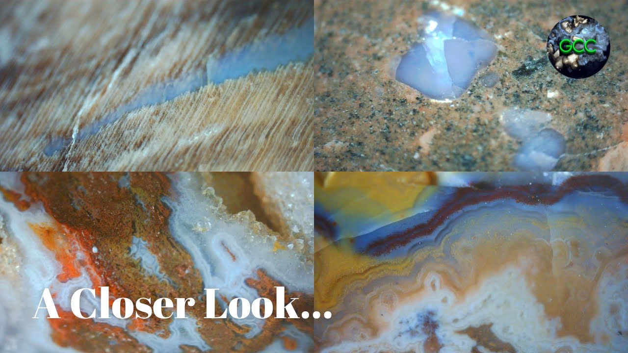 A Closer Look.. | Dinosaur Bone, Petrified Wood, Blue Quartz & Kentucky Agate