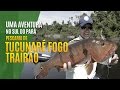 PESCARIA DE TUCUNARÉ FOGO E TRAIRÃO - UMA AVENTURA NO SUL DA PARÁ  [ACERVO DO NAKAMURA - DVD]