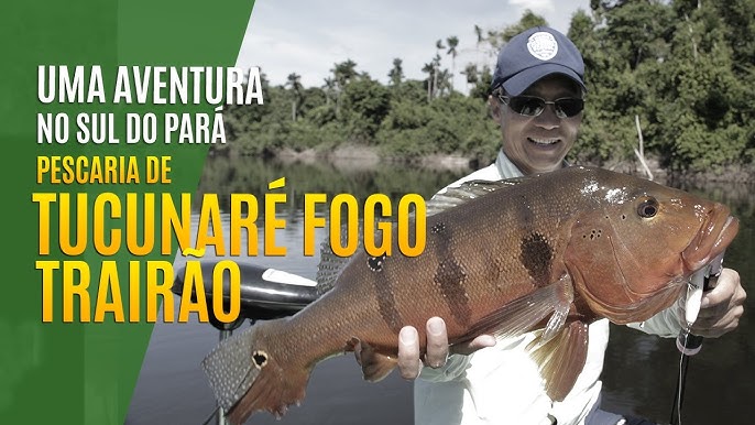 Vitor nakamura pesca igual o seu pai #nelsonnakamura #pescaria