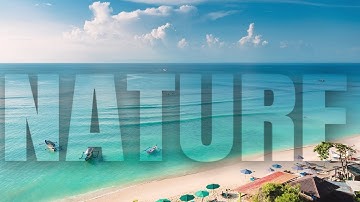 Transparent Text effect in Canva || Canva Tutorial