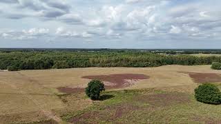 Mantingerveld Naturereserve - Drenthe, The Netherlands