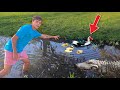 SAVING MOTHER DUCK & 5 DUCKLING from DEATH!!