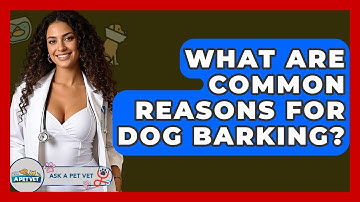 What Are Common Reasons For Dog Barking? - Ask A Pet Vet