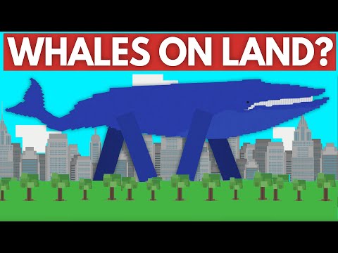 Video: An Aquatic Worm, An Ancient Whale Or An Otter? Who Could The Legendary Nessie Be? - Alternative View