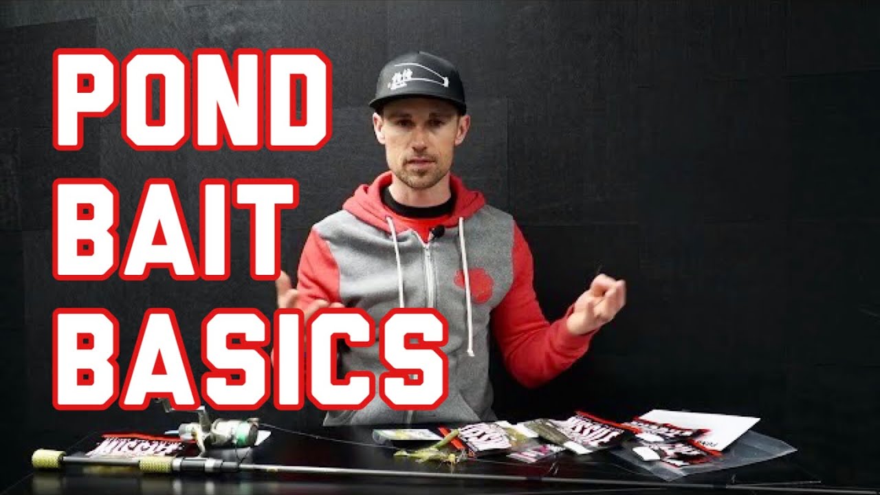 POND FISHING BAIT BASICS YouTube
