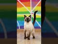 ai video #video #viral #ai #like #subscribe #trending #youtube
