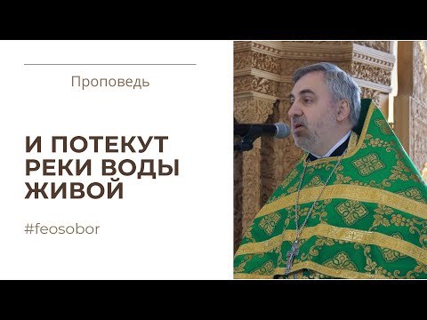 ДЕНЬ СВЯТОЙ ТРОИЦЫ. Проповедь иерея Владимира Коваль-Зайцева