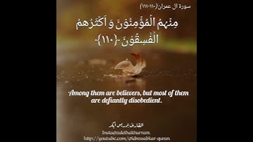 سورة ال عمران بصوت إدريس أبكر/ Surah Al Imran by Sheikh Idris Abkar @idressabkar-quran