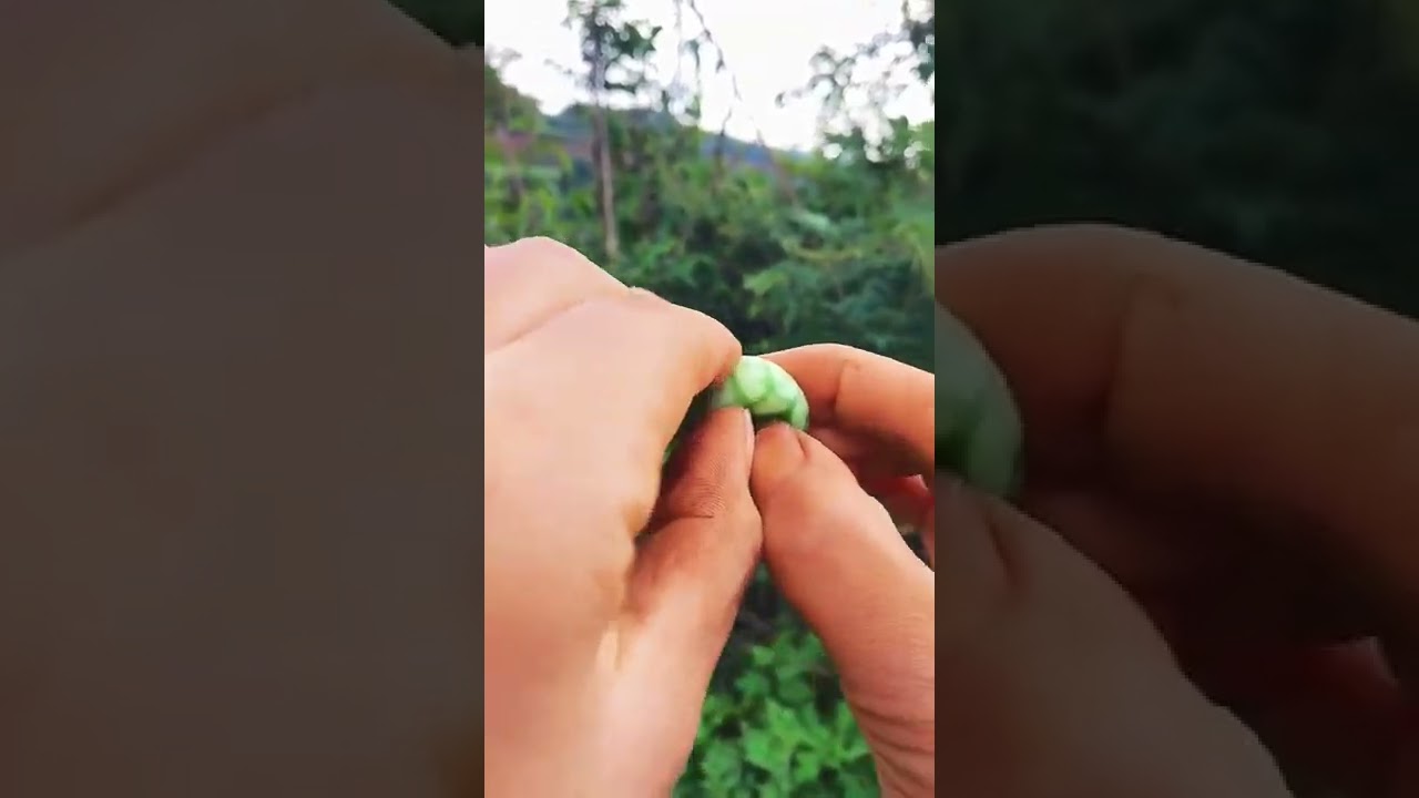 😍OMG 😍 NATURE FRIUT 😍 😍