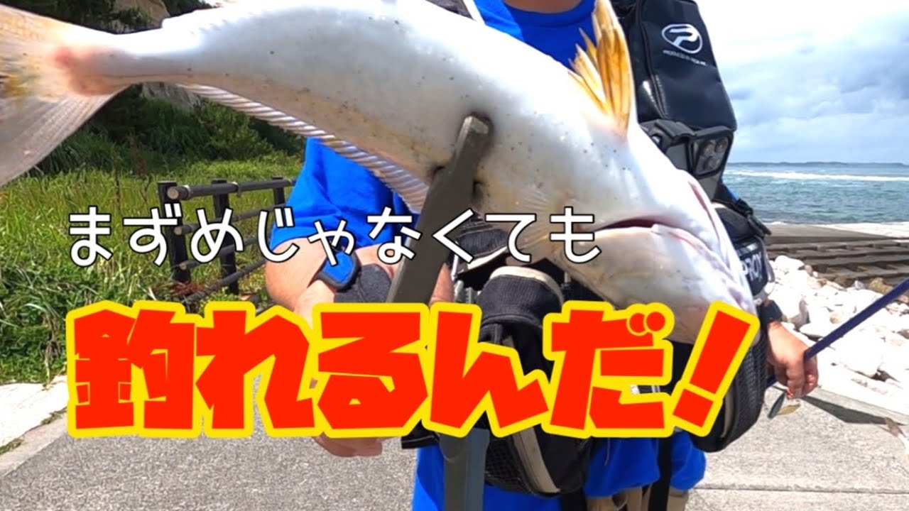 まずめじゃなくても釣れるんだ　茨城県北茨城市　2022年7月9日