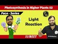 Photosynthesis in Higher Plants 02 | Light Reaction I Class 11 l Pace Series