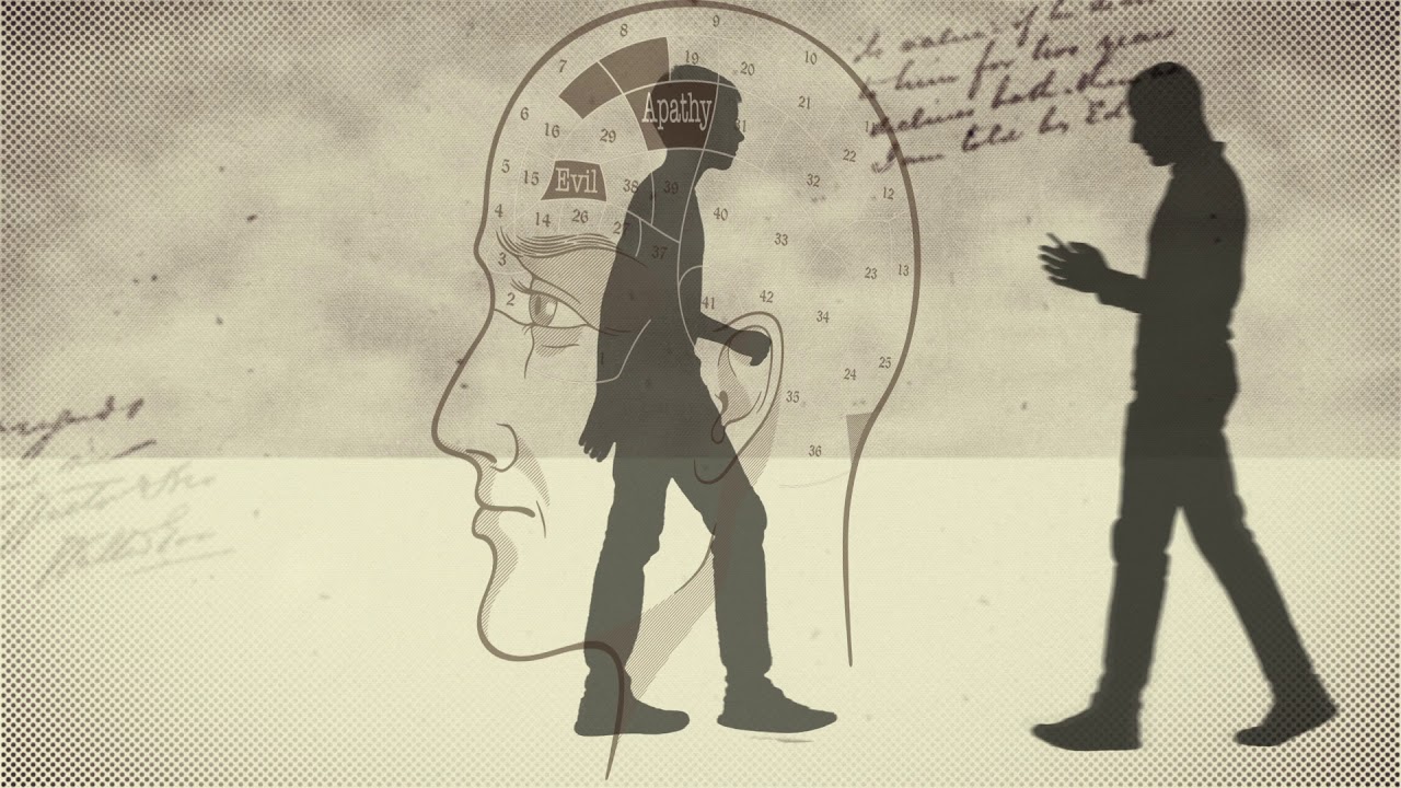 She's got a degree economics. +15 осенью и весной мем. Fourier equation. Understand. Мем math is math.