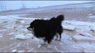 Jokka 7 januar 2016 by Torben Krammer 80 views 8 years ago 58 seconds