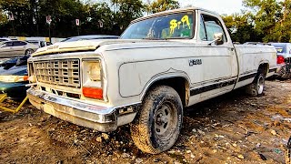 Rare Mopar Truck Sold New with Winchester 30-30 ? 1984 Dodge Ram 150 Royal SE Marksman Junkyard Find