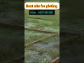 नौ दुर्गा special offer 🤩🤩🥳#plotforsale #ploting
