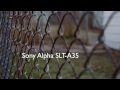 Sony SLT A35 1080P Video/Image(RAW) Test