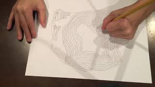Making a simple topographic map of an island (Time lapse)