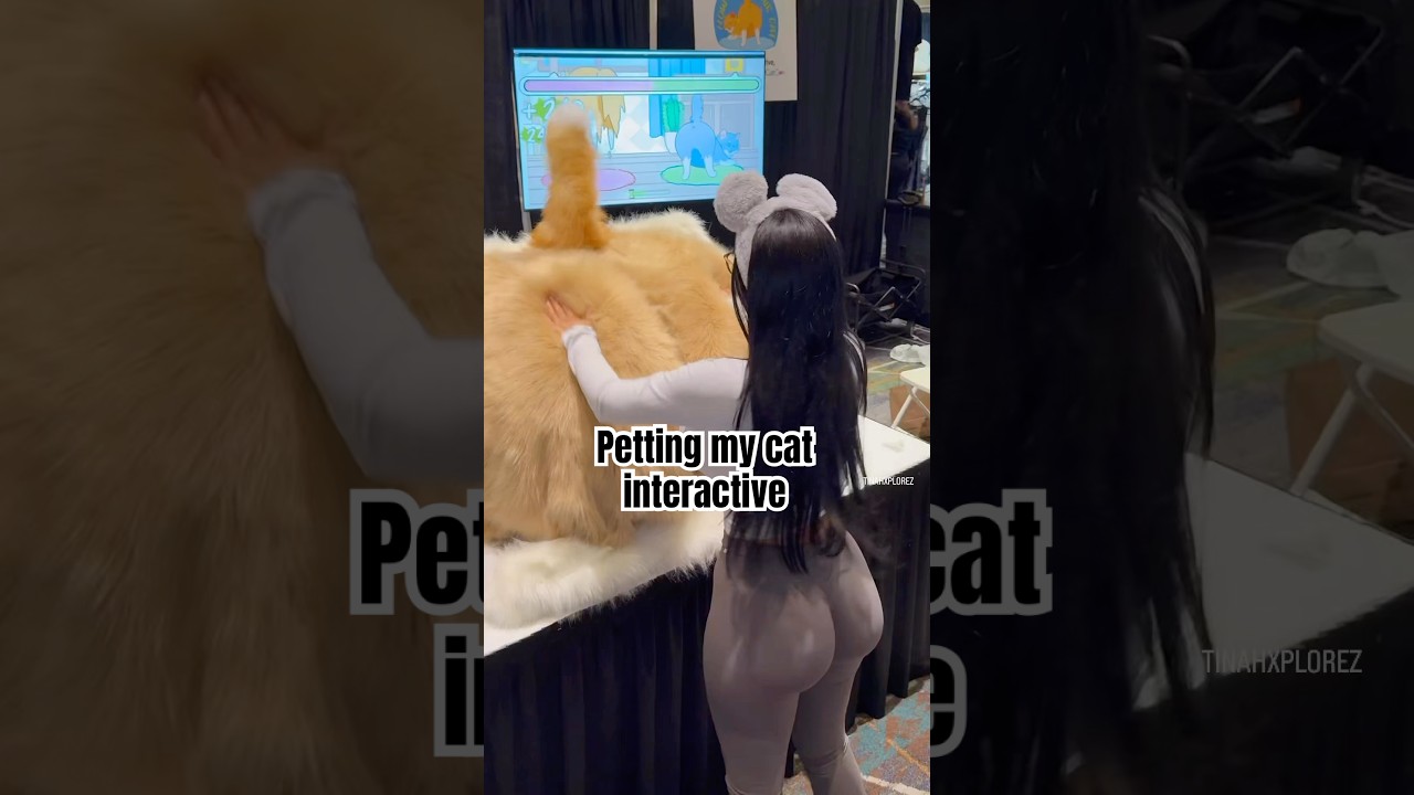 Pet my cat game at Cat Con was the highlight of my Sunday! #viralshort #catcon #funny #pasadena