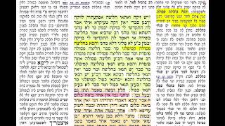 דף יומי מסכת יבמות דף נג Daf yomi Yevamit 53 שמואל נבון