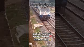 kurbaan jau me allah ki jaat pr please jyada se jyada share kare #shortmusic #shortvideo
