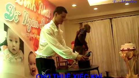 Cho thuê xiếc khỉ, cung cấp xiếc khỉ cho thuê xiếc LH:0968 168 724