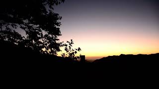 Sunset Leaves!  Short  #calm #bitesizevideo #naturesounds #sunset #stressrelief
