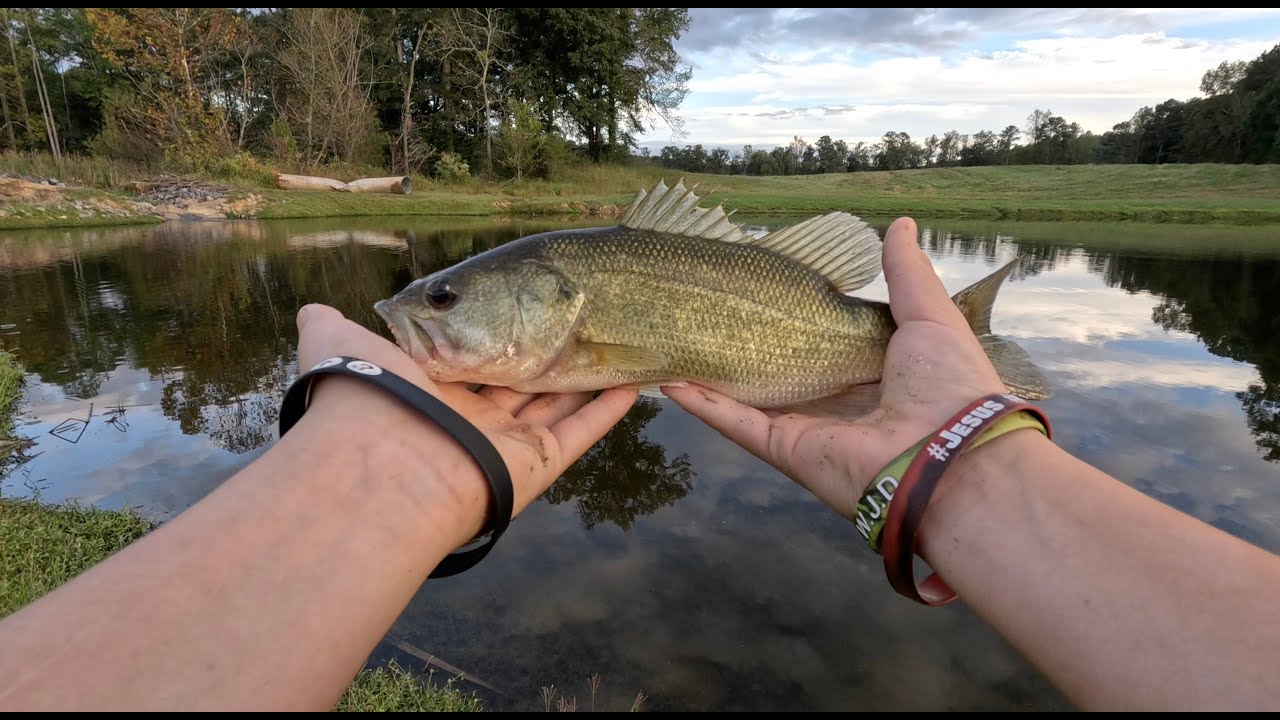 Bass Fishing