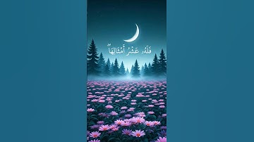 من جاء بالحسنة فله عشر أمثالها ومن جاء بالسيئة فلا يجزى إلا مثلها وهم لا يظلمون سورة الأنعام #قرآن