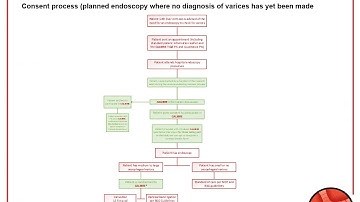 CALIBRE Trial SIV Presentation v2 2 Consent and Randomisation