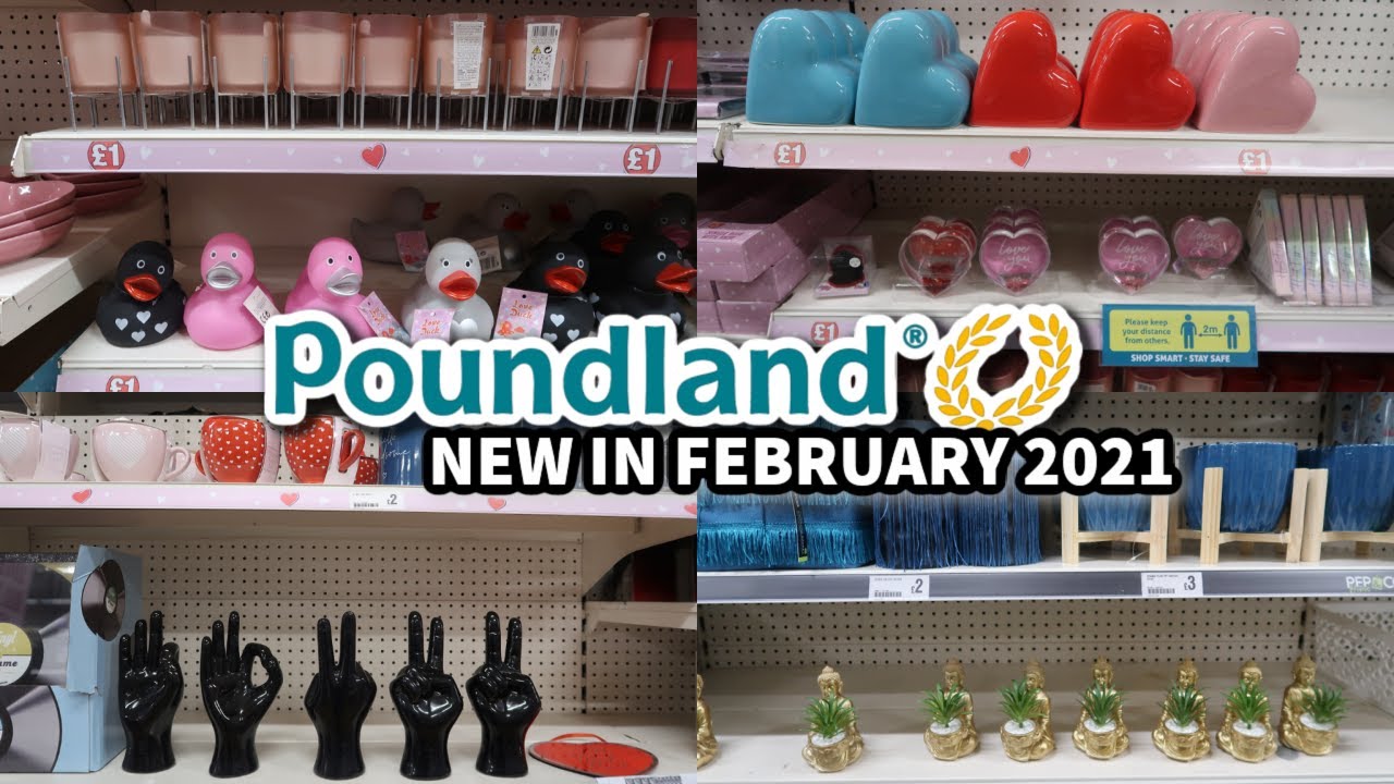 NEW IN POUNDLAND | COME SHOPPING WITH ME | FEBRUARY 2021